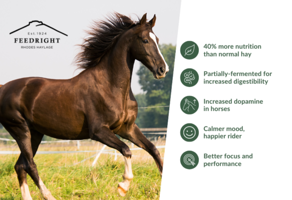 The key benefits of haylage