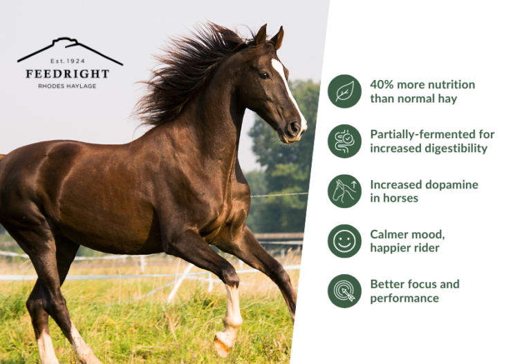 What is Haylage? FeedRight Haylage