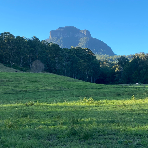 An image of fields in front of a mountain - FeedRight Haylage
