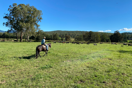 Image of a man riding a horse in a field