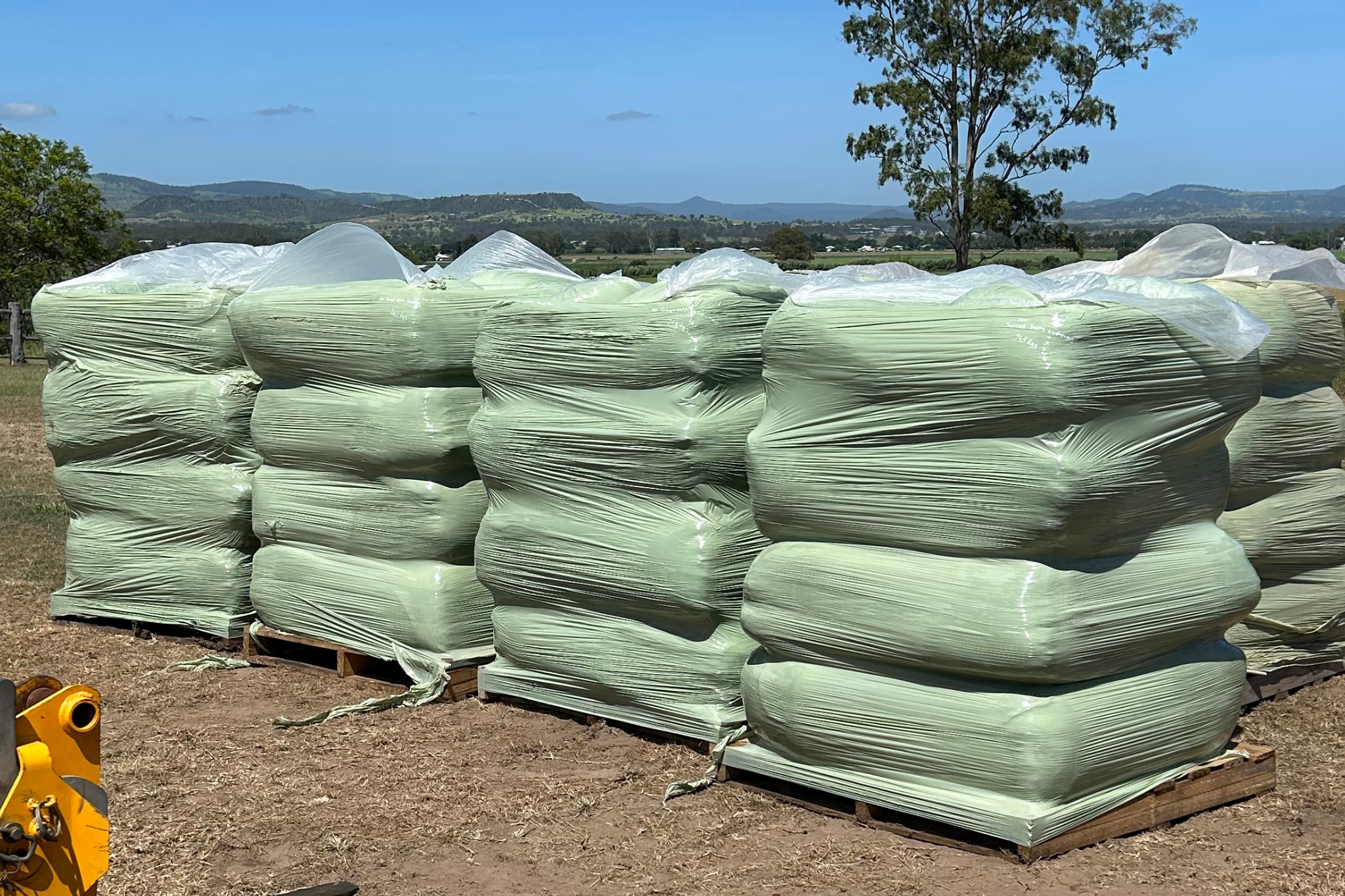 Image of plastic wrapped bales of haylage
