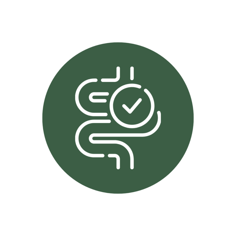 Icon of a gut with a tick symbol