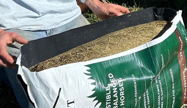 An image showing an open bag of haylage