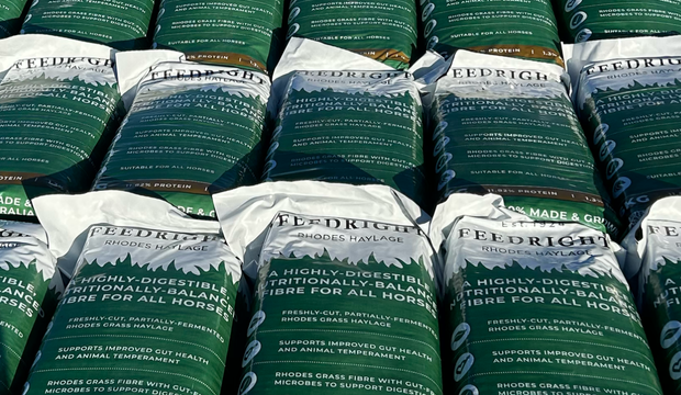 Bales of wrapped FeedRight haylage