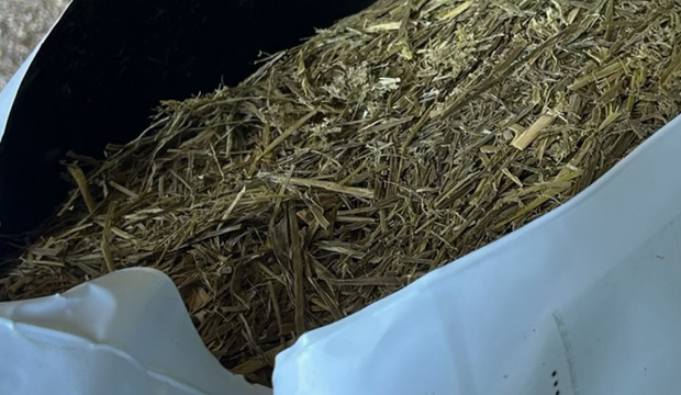 An image of haylage